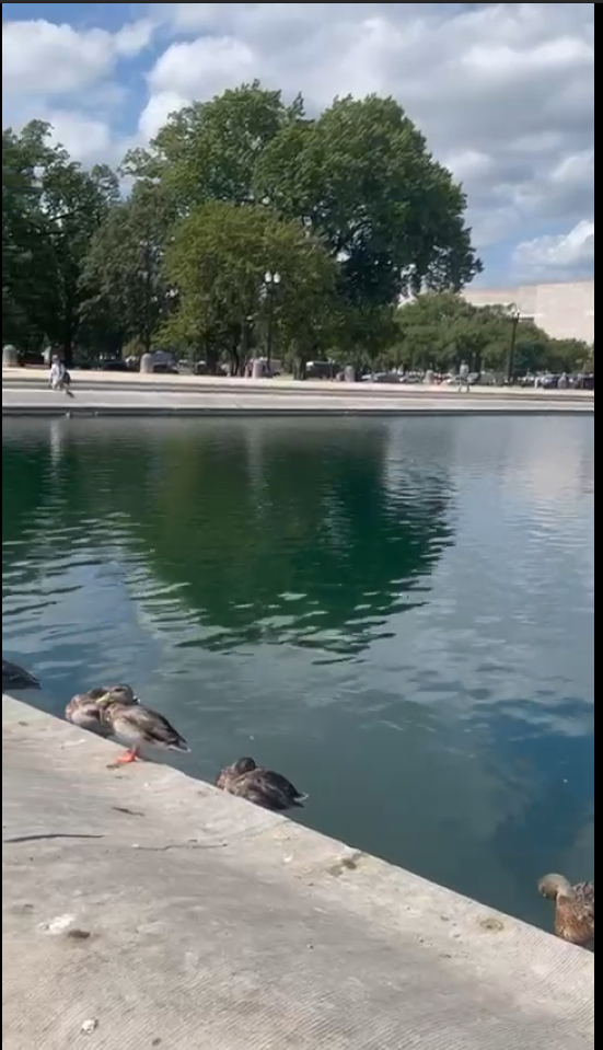 Hydraulics applicada 3